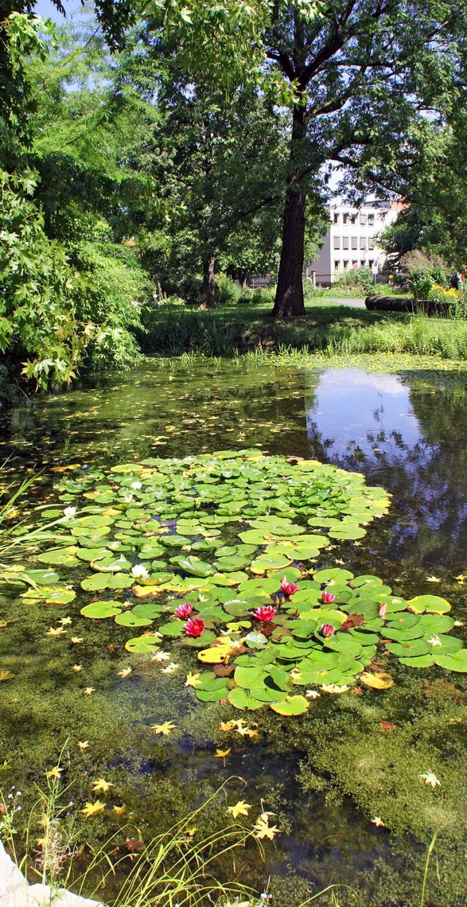 Botanischer Garten Jena - Thüringer Impressionen