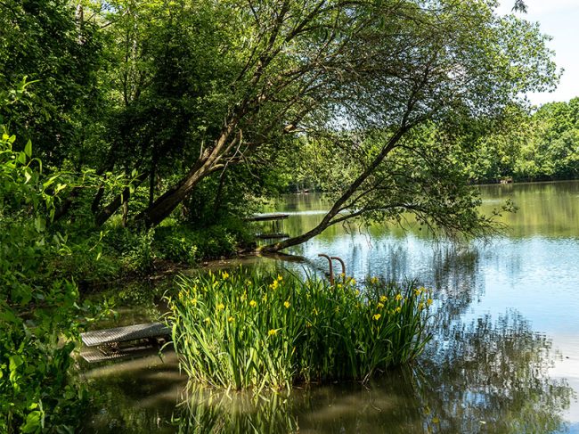 Heideteich Ilmenau Gehren