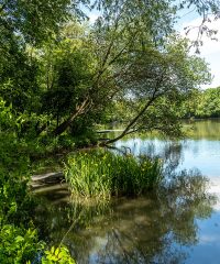 Heideteich Ilmenau Gehren