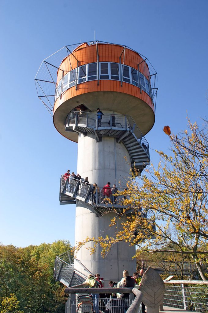 Baumkronenpfad im Nationalpark Hainich