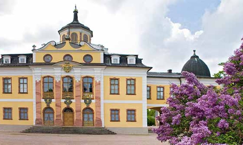 Der Flieder blüht in Weimar