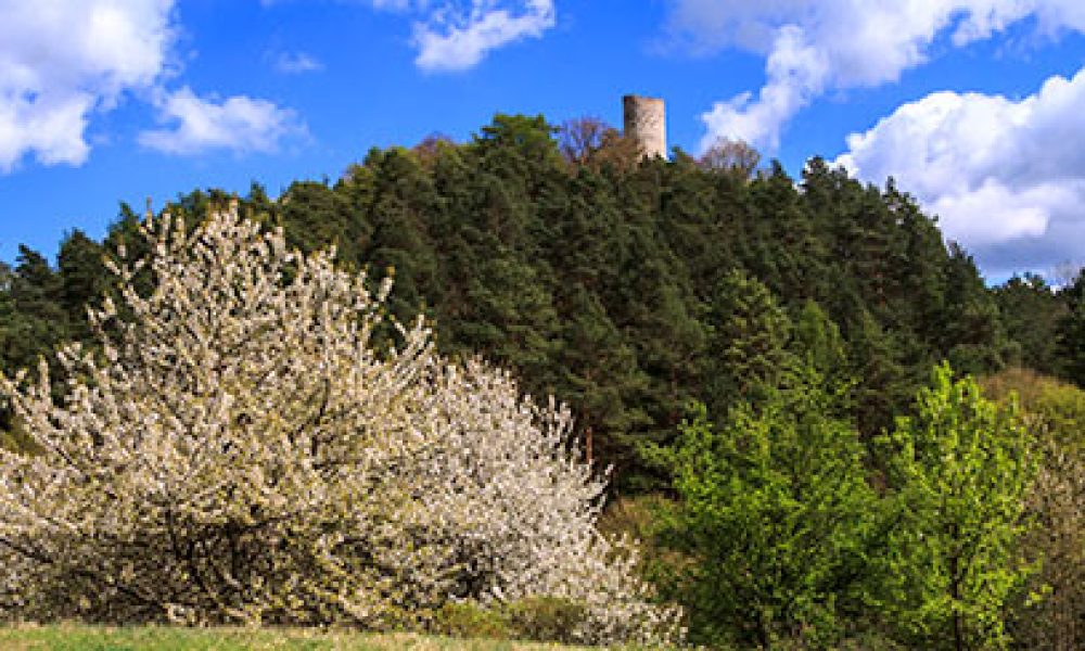 Frühlingsgefühle in alten Gemäuern