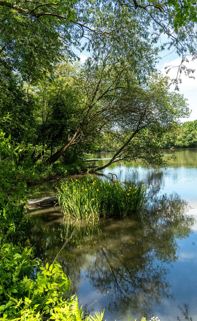 Heideteich Ilmenau Gehren