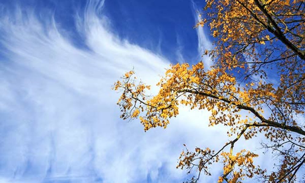 Goldener Herbst in Thüringen