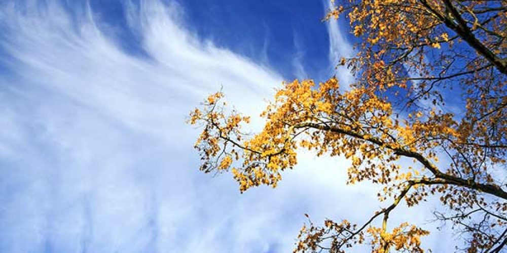 Herbst in Thüringen