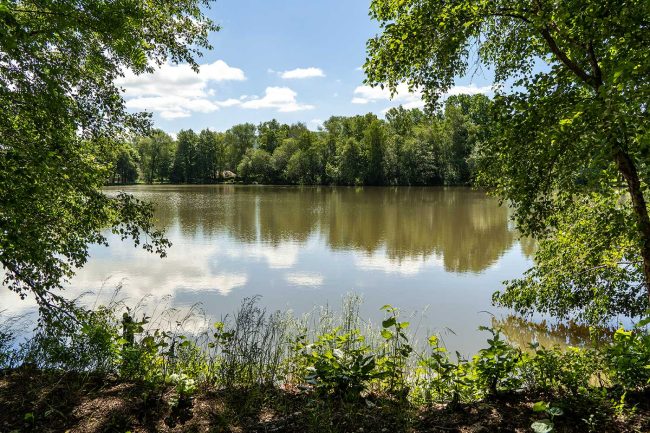 Heideteich bei Ilmenau