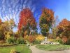 Herbst im Schlosspark