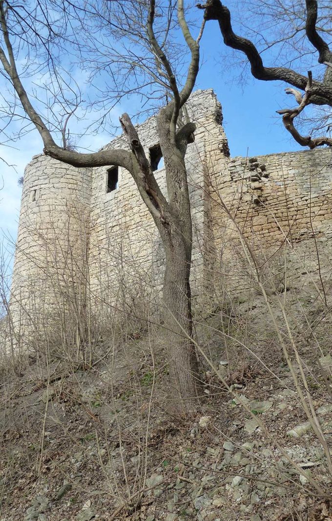 Kunitzburg bei Jena