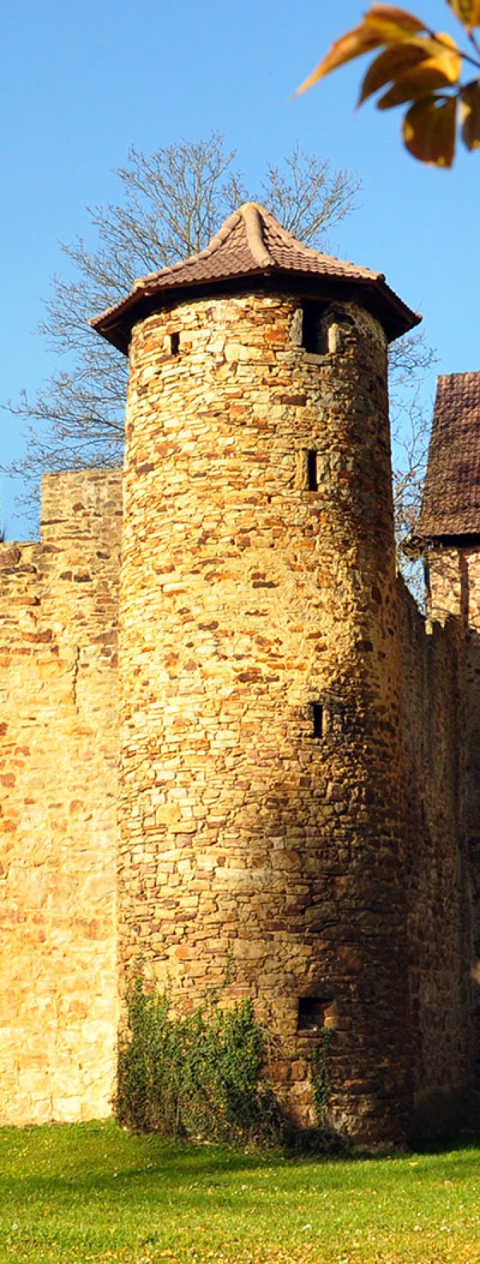 Burg Bibra