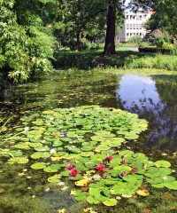 Botanischer Garten Jena